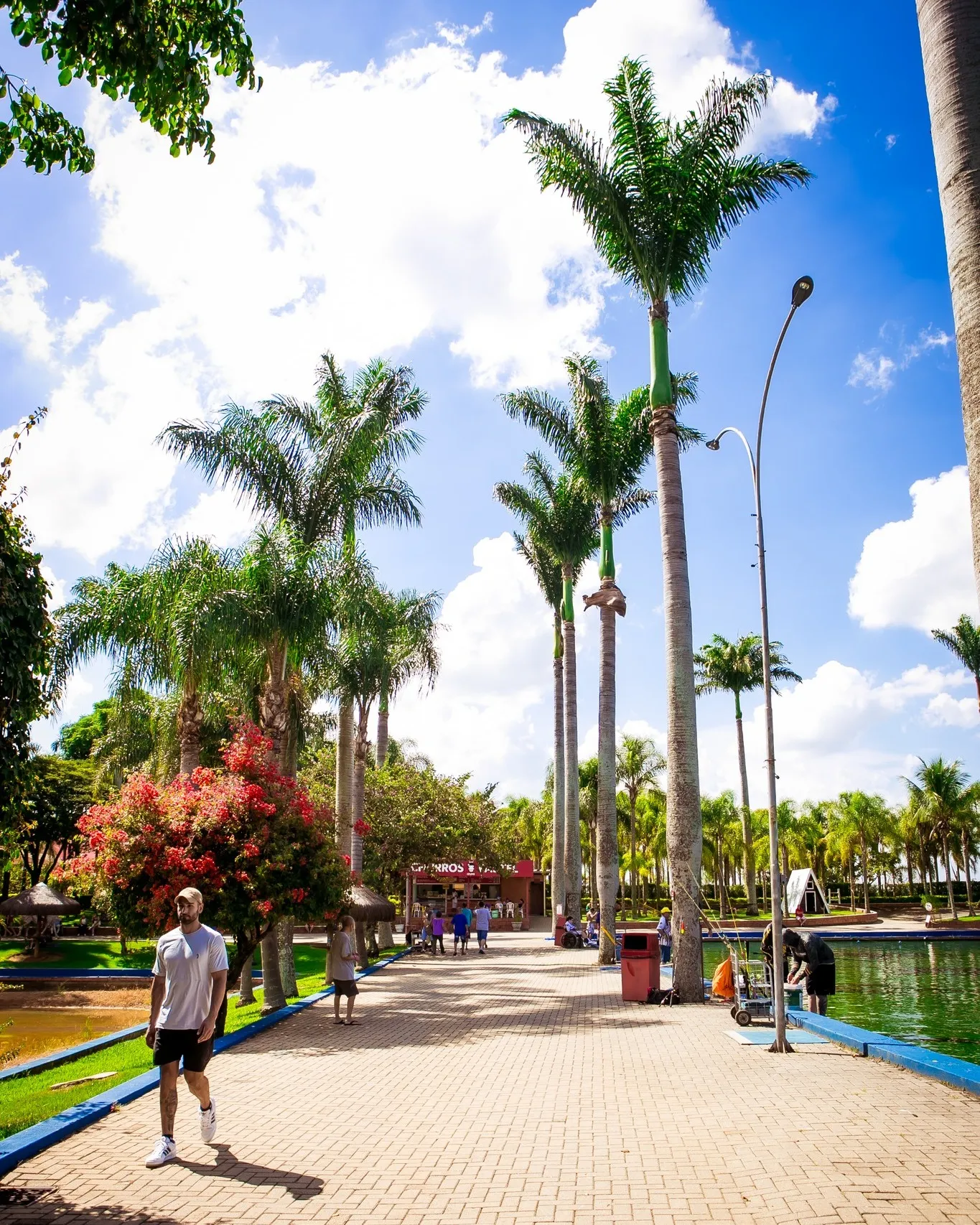 Parque Maeda — foto 2