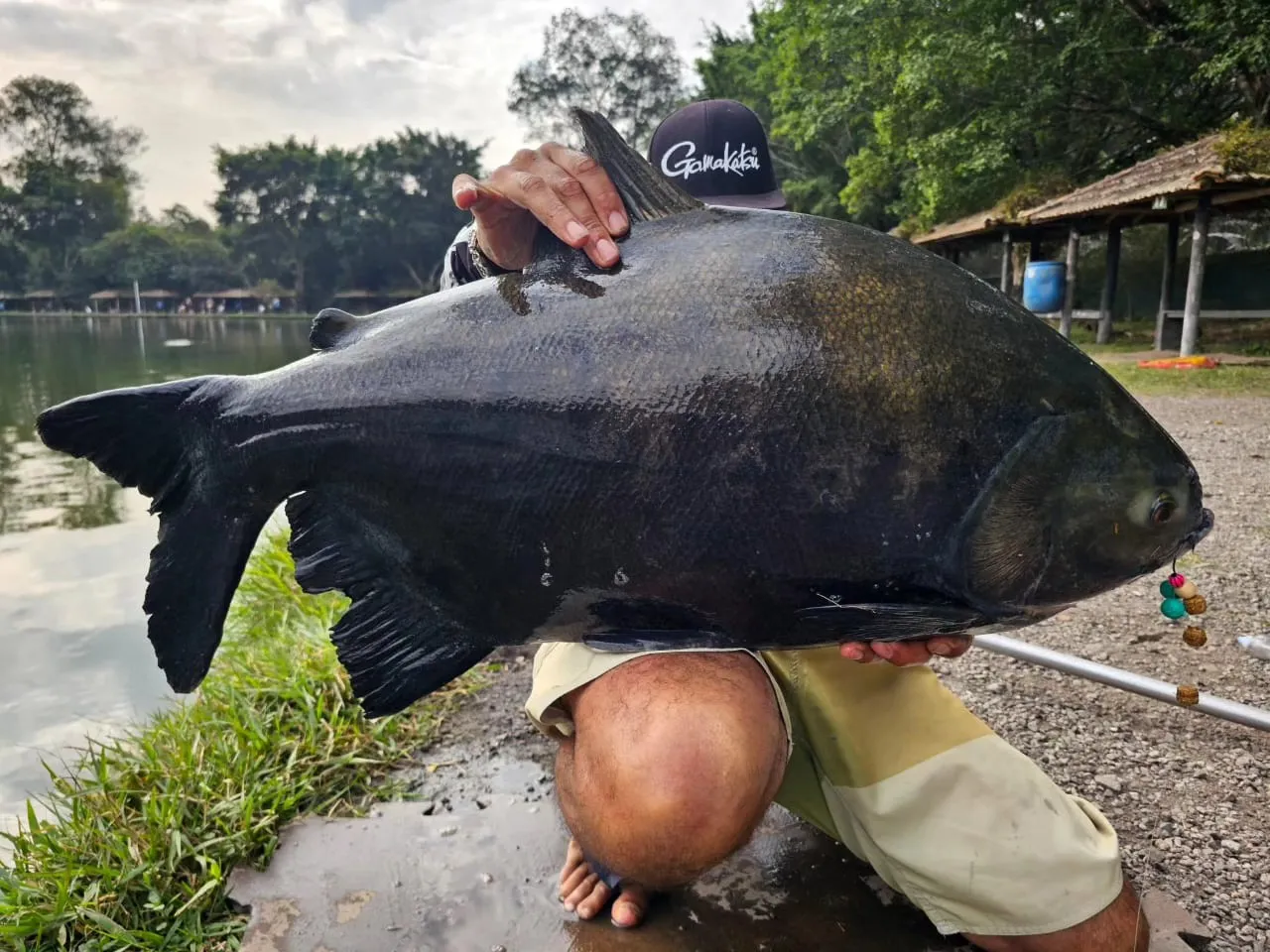Pesqueiro Matsumura — foto 3