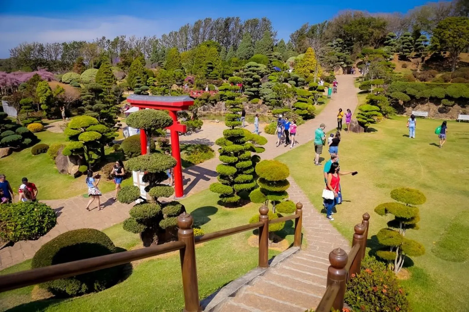 Parque Maeda — foto 3
