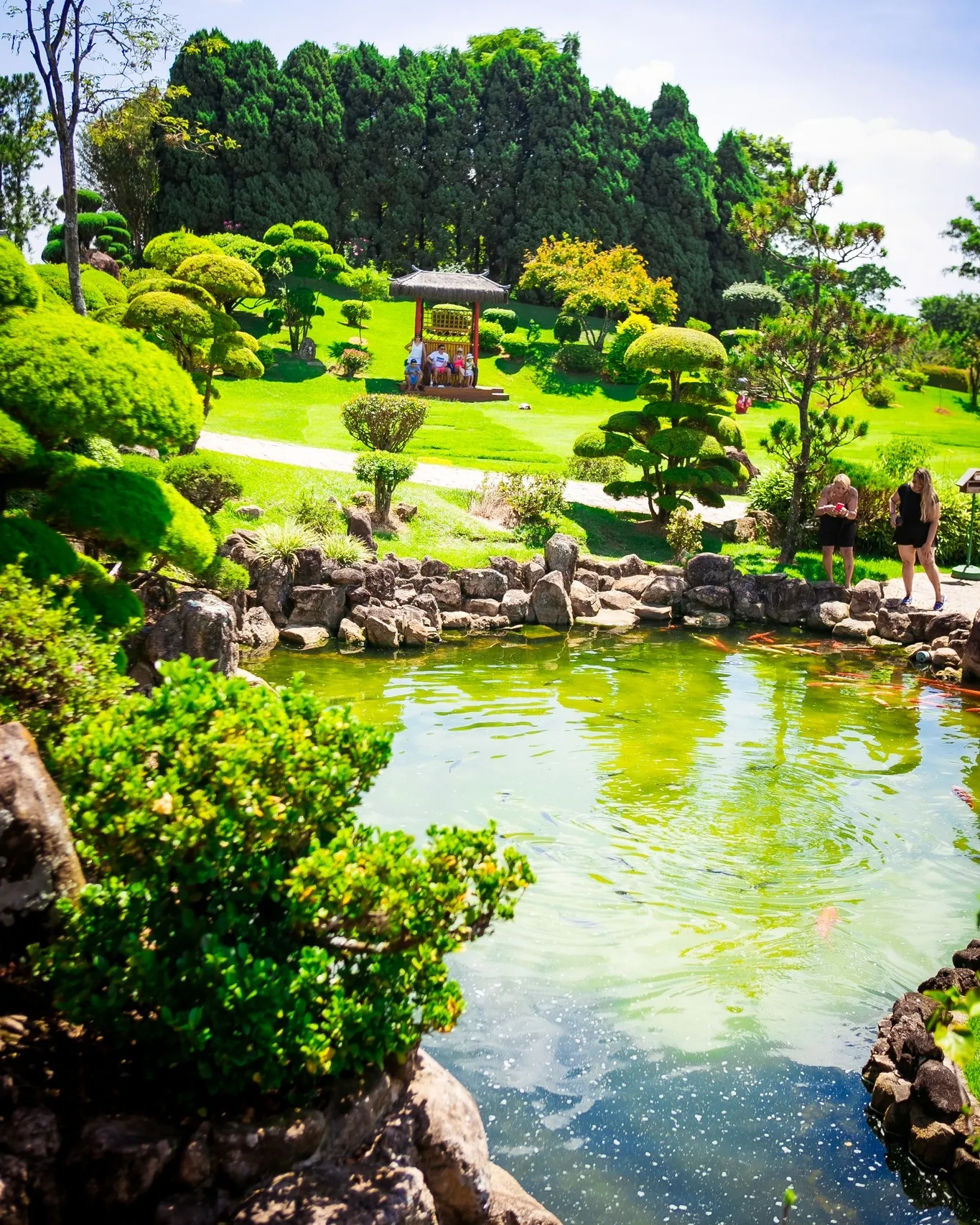 Parque Maeda