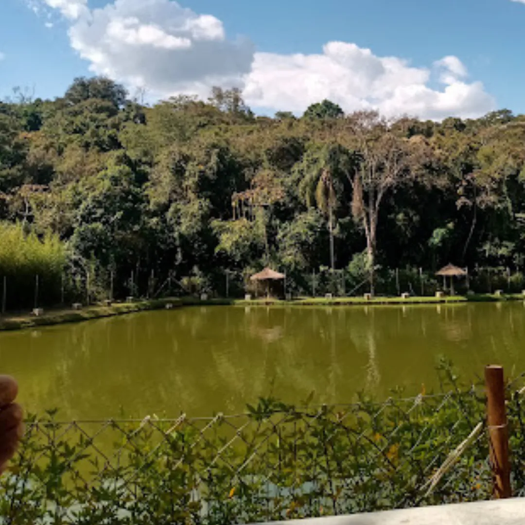 Pesqueiro da Mata São Roque — foto 3