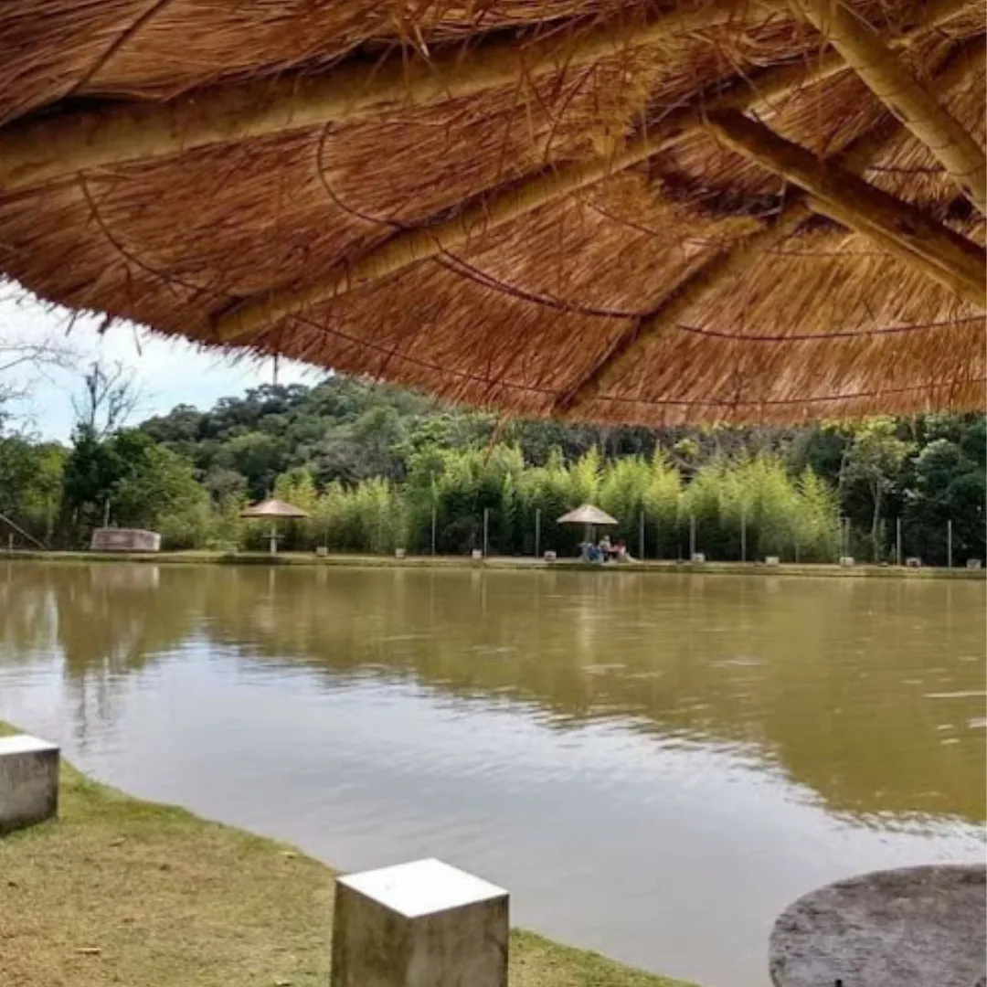 Pesqueiro da Mata São Roque — foto 5