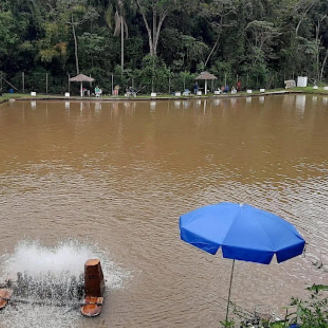 Pesqueiro da Mata São Roque — foto 2