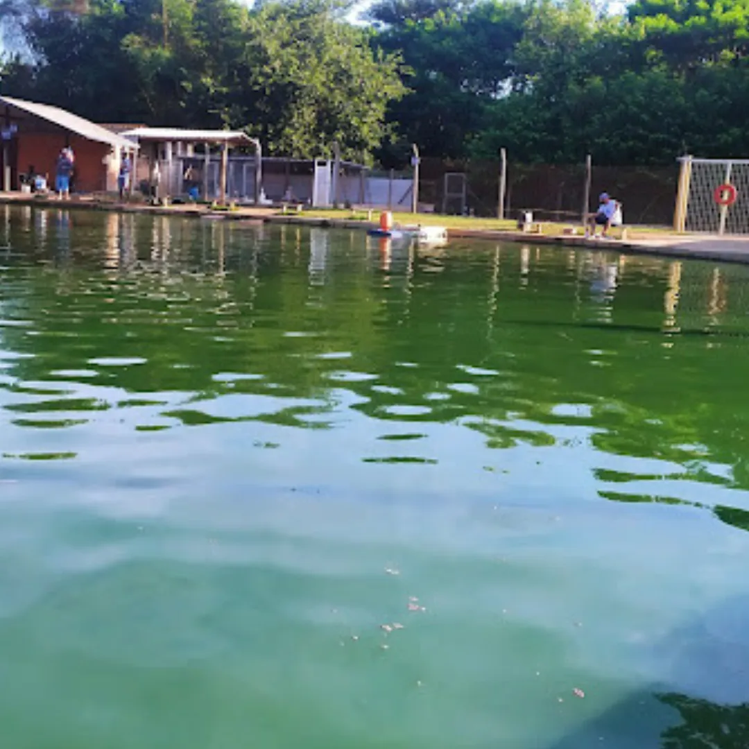 Pesqueiro Paraíso da Pesca — foto 2