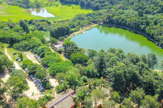 LRM_EXPORT_35306562386359_20190331_194215477 - Pesca Fácil