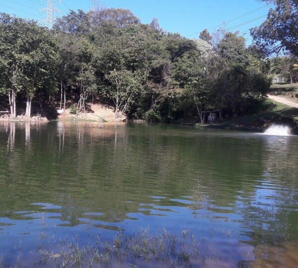 Pesqueiro Mirante Sorocaba