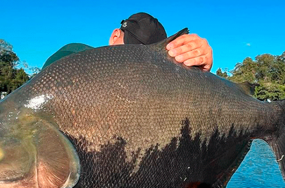 Pesqueiro Santa Rita Gigantes